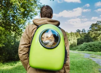 Best Cat Backpack